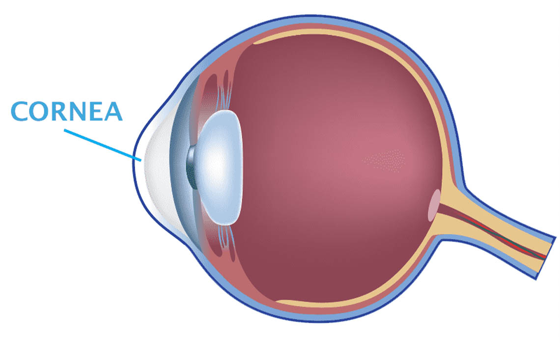 Cornea Image